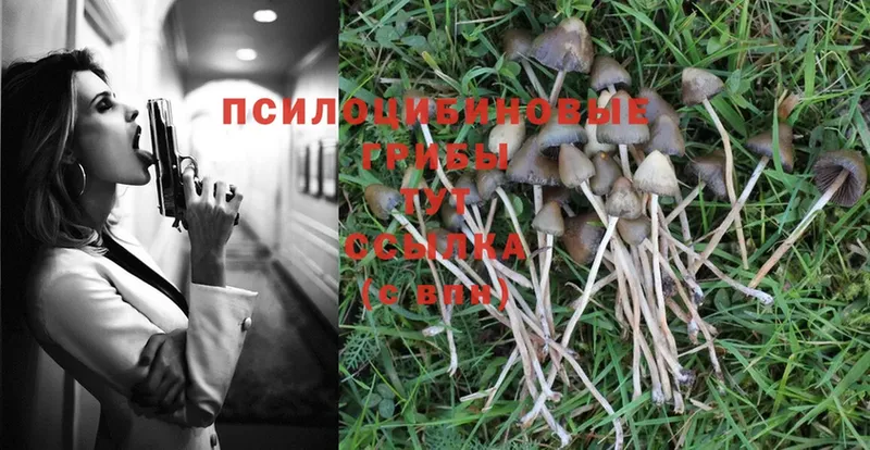 где купить   сайты даркнета какой сайт  Псилоцибиновые грибы MAGIC MUSHROOMS  Льгов 